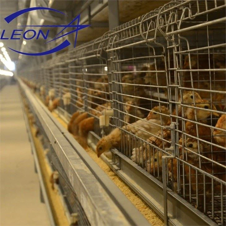 Automatic Layer Cage System Automatic Layer Cage System