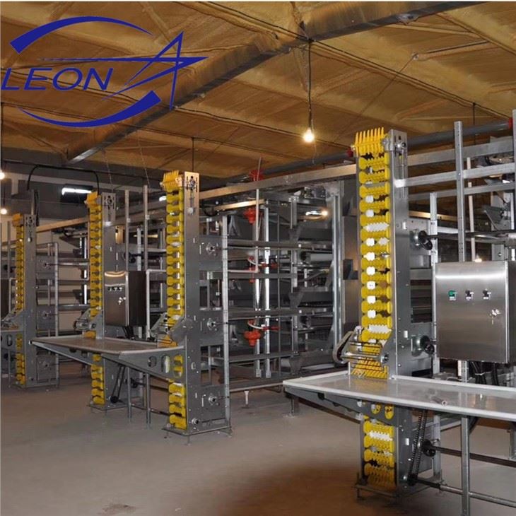 Stable Egg Collection System