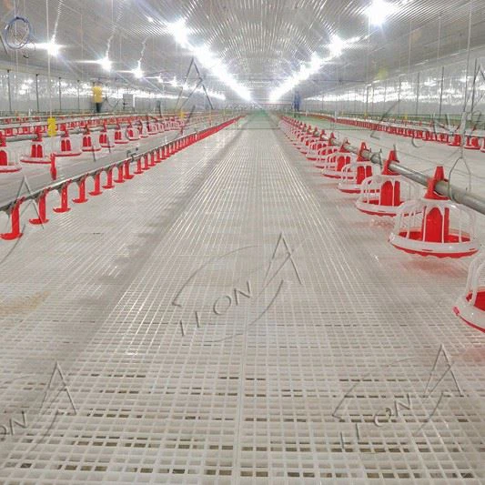 Broiler Floor Raising