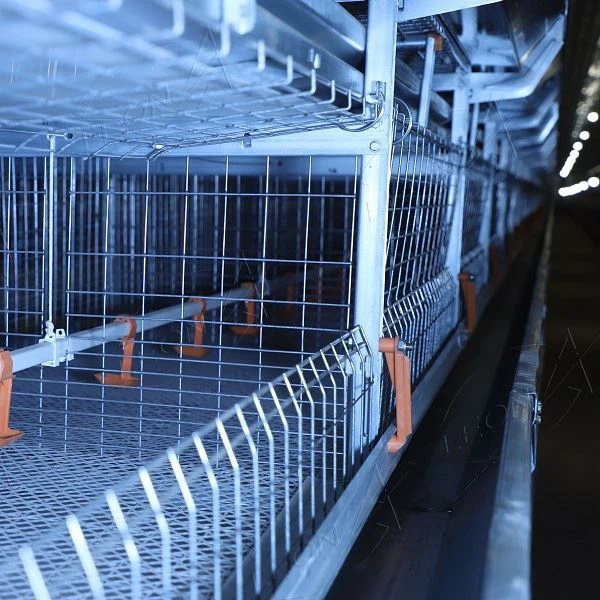 Poultry Farm Equipment Chicken Cage H Type Broiler House System Poultry Farming