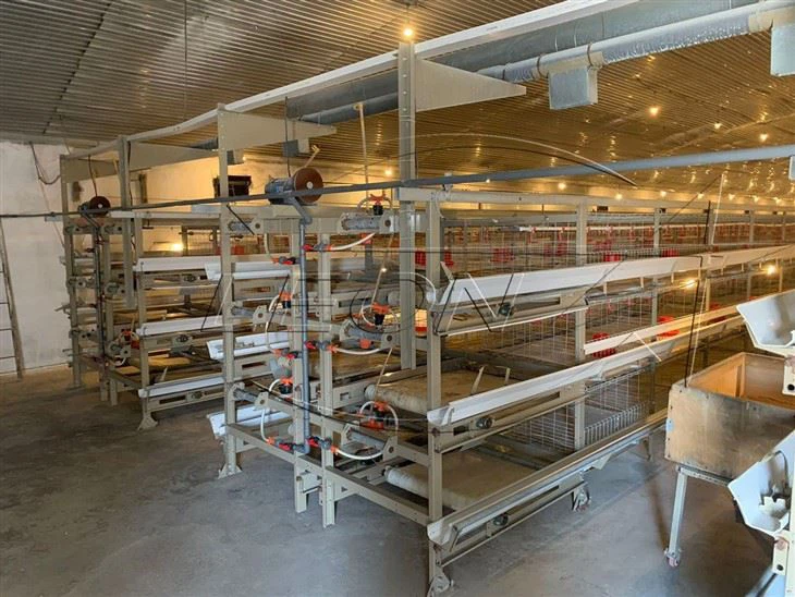 H type broiler chicken cage H type broiler chicken cage