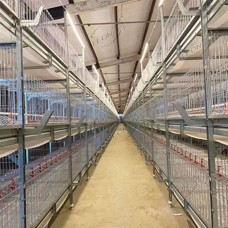 Hähnchenkäfigsystem vom Typ H