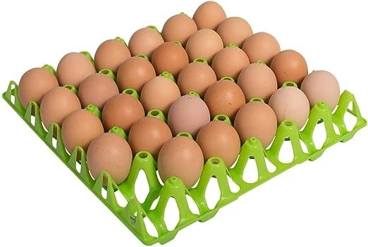 30 egg tray