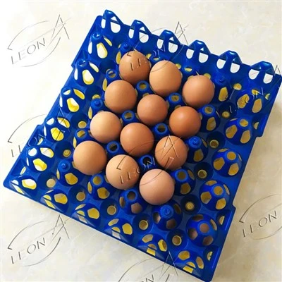 Eierablage aus Kunststoff, hergestellt in China