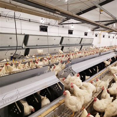 Effizientes Anziehungssystem für Züchter