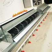 Automatischer Brutkasten für Geflügel